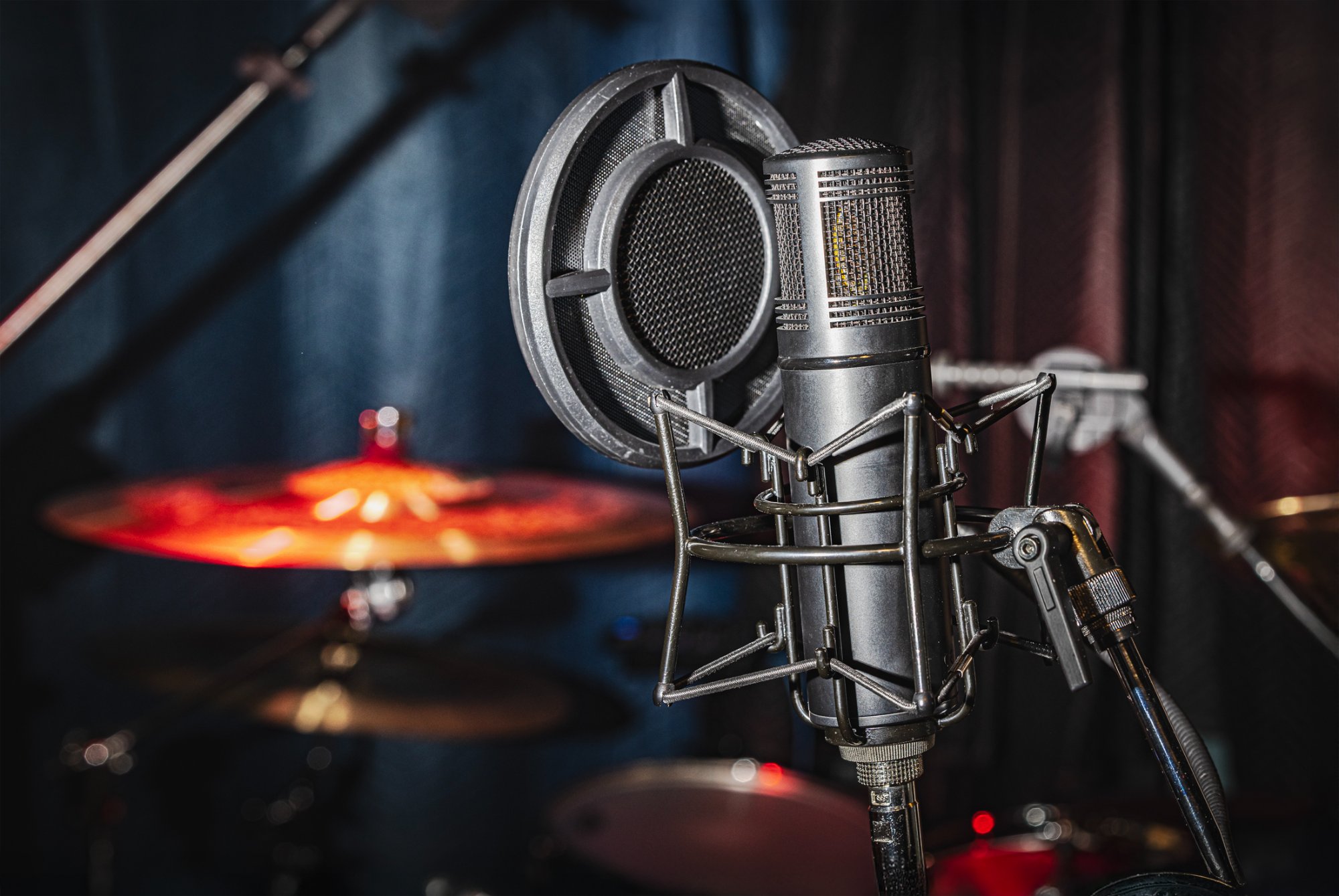 Professional Microphone